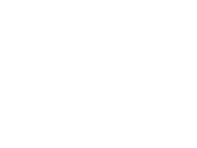 RaySonoAG-db58945b_w.png