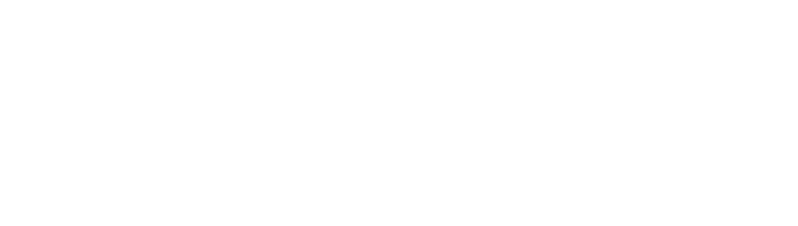 Ergo_Versicherungsgruppe_logo_w.svg.png