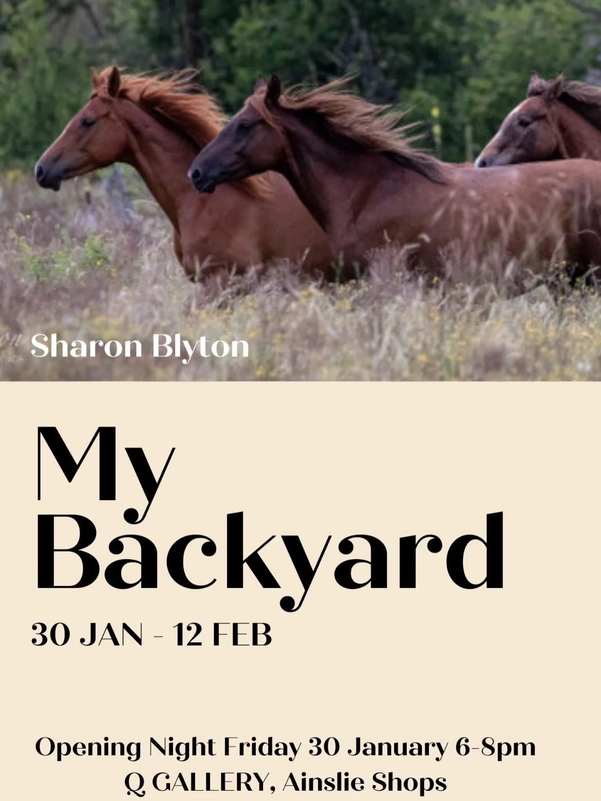 🌿 My Backyard 🌿

This body of work by Sharon Blyton celebrates the quiet beauty of nature close to home &mdash; from misty morning walks to fleeting moments of wildlife and stillness.
Photographed on and around her property on the outskirts of Canb