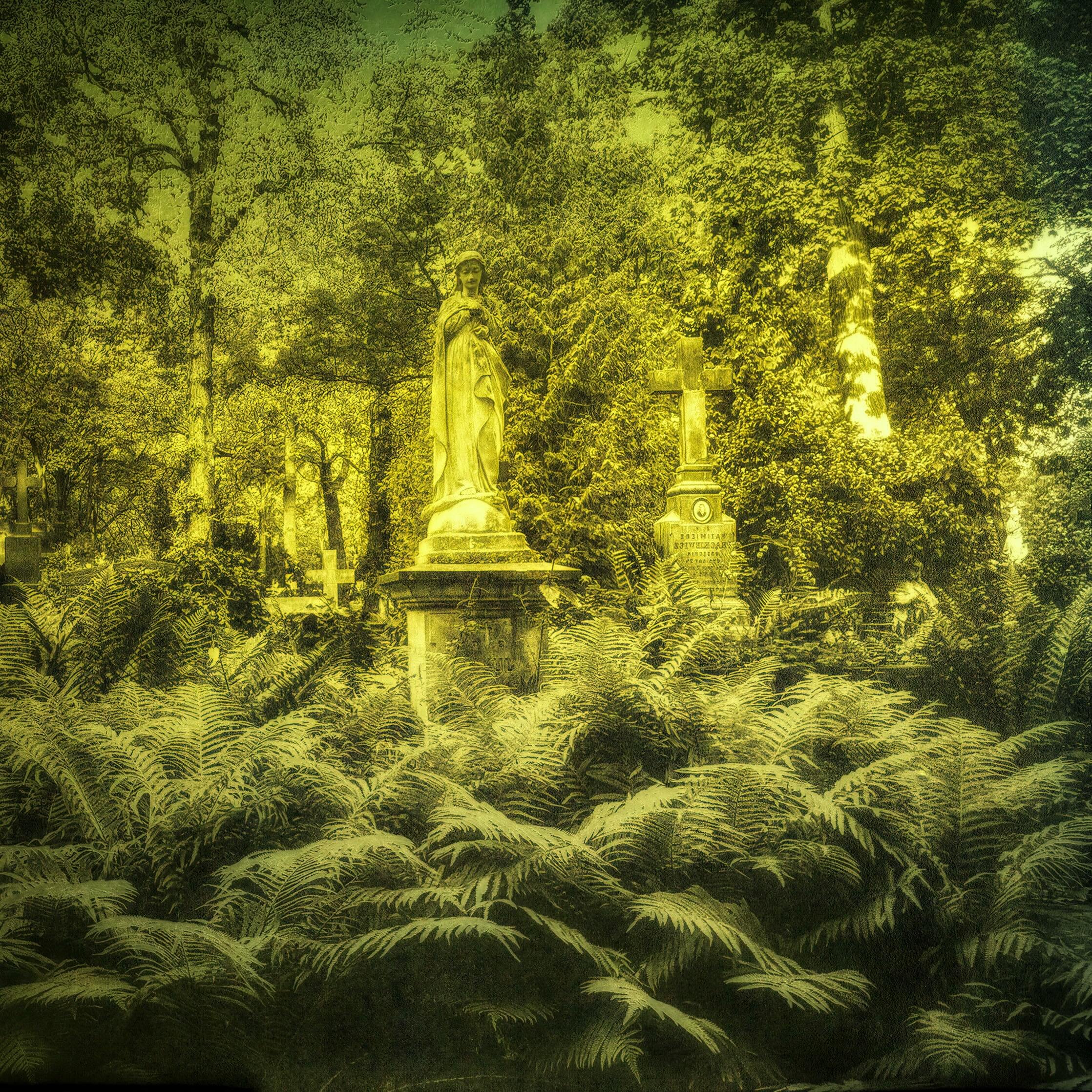 COMING SOON  to @q_gallery_ an exhibition by artist @beatafeleklusia 

The pensive Beauty of Absence

In this exhibition Beata tells the story of time, of memory, and of identity through the language of cemeteries. She reflects on the serenity and be