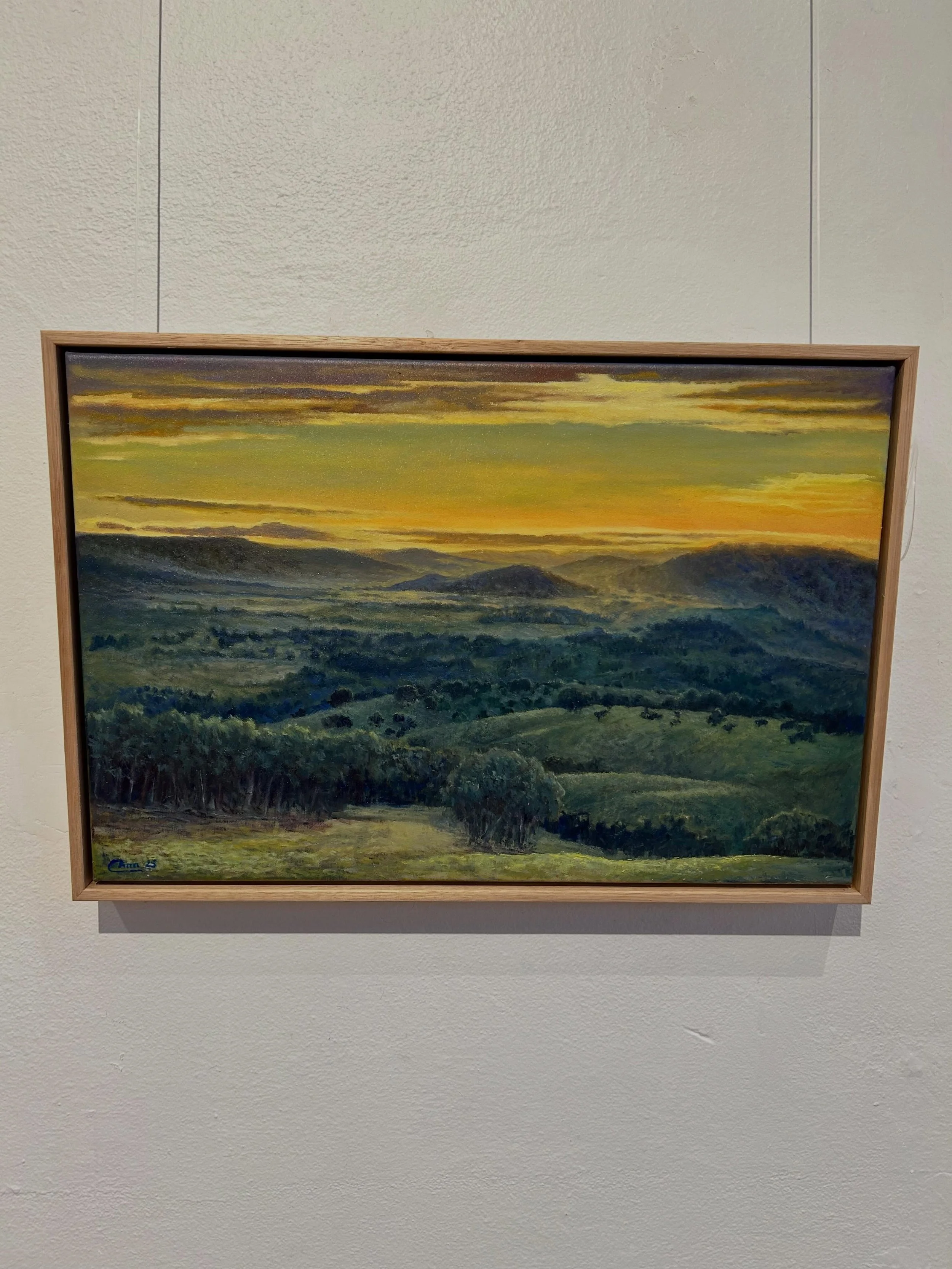 One of the stunning oil paintings on display here @q_gallery_ 

West of Gininderry
Oil on Canvas 
40 cm x 60 cm 
$770
@catherineann_art
