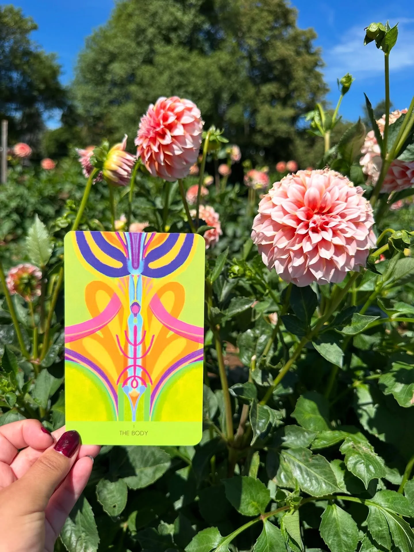 In class last week we explored the ancient principles of The Body Symbol, focusing on the sacred partnership we all have with our beautiful bodies.

We cannot build, receive and change if we first do not feel safe and at home in our bodies. We must c