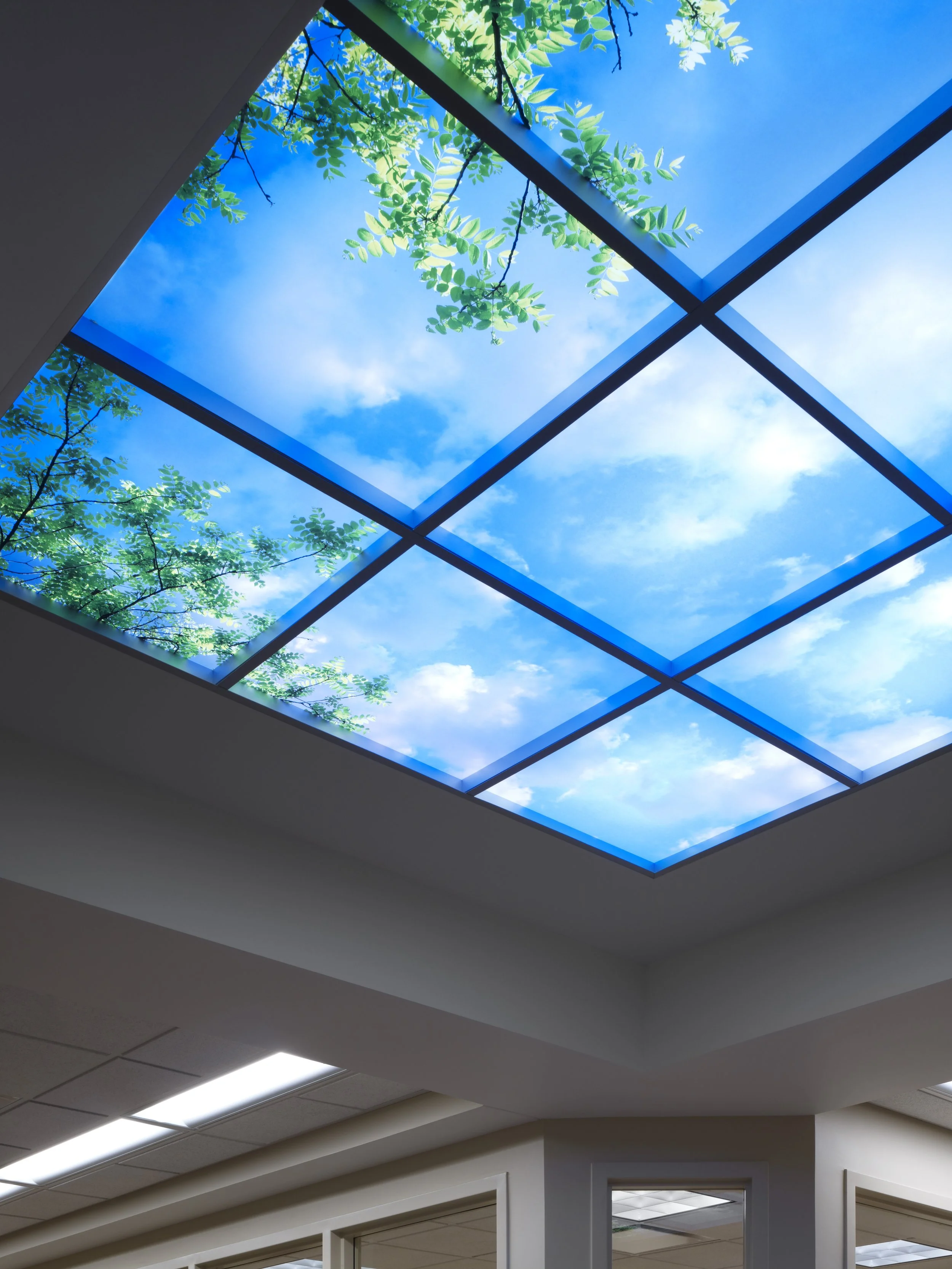 3032 Elmhurst Hosp-Emergency Dept sky light.jpg