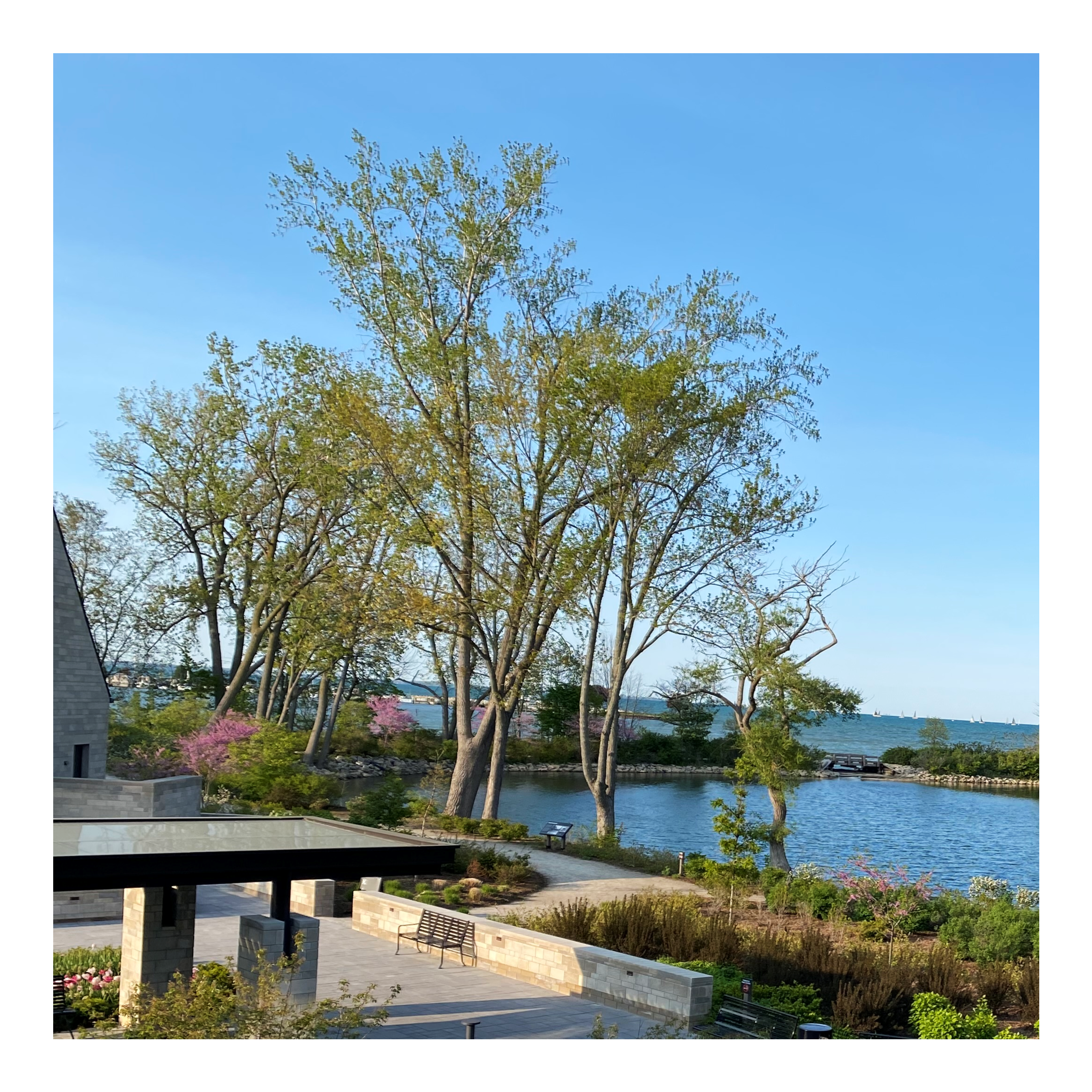 Ford+House+Ext+Lagoon+%283%29.png