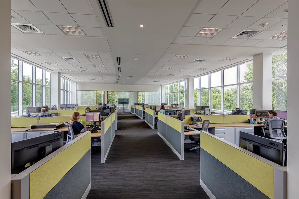 An office with multiple workstations, each with a computer, separated by yellow and gray partition panels. Several employees are working at their desks, and the office features large windows with a view of green trees outside.