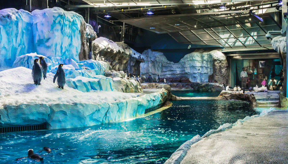 Detroit Zoo - Polk Penguin Conservation Center
