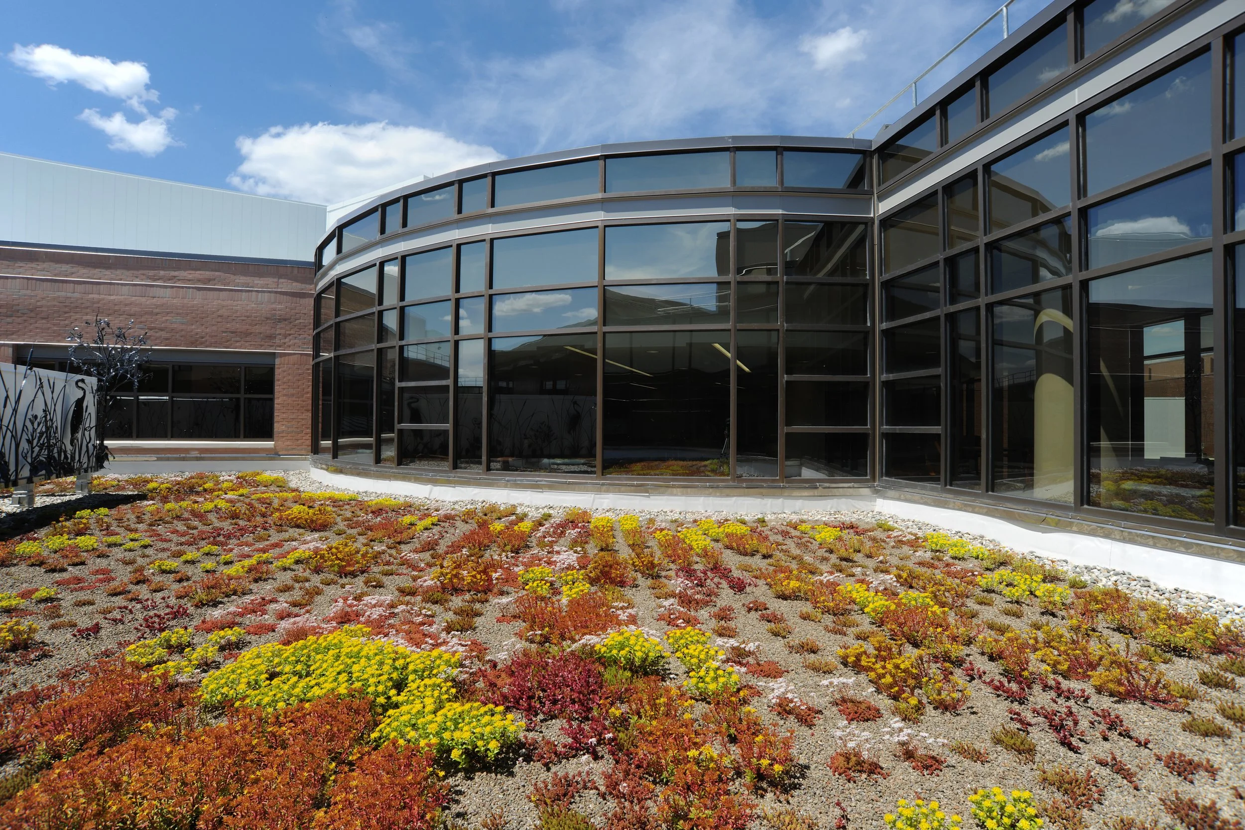 HFWB Hospital Exterior Greenroof from left.jpg