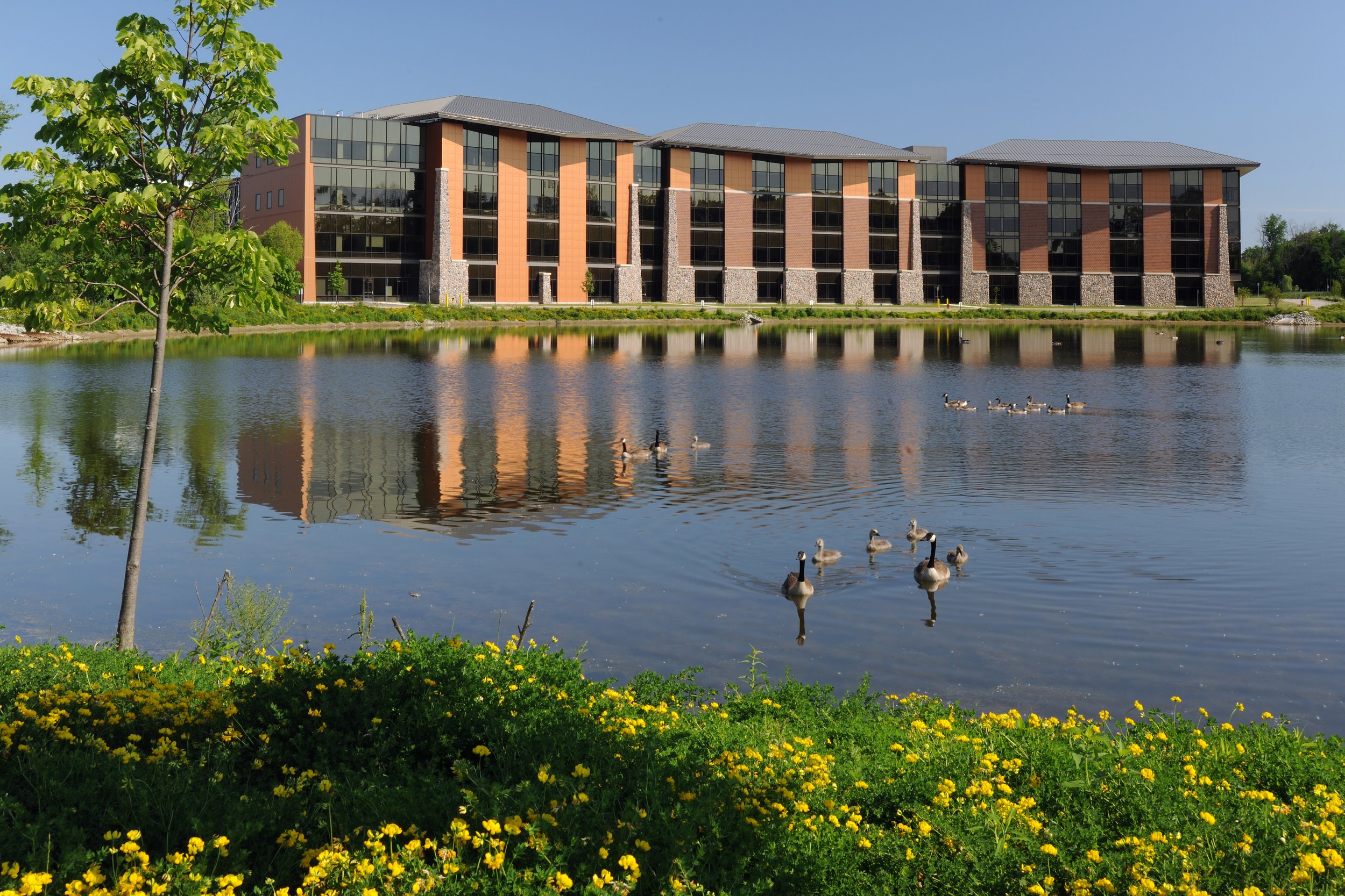 Pond_2500.jpg