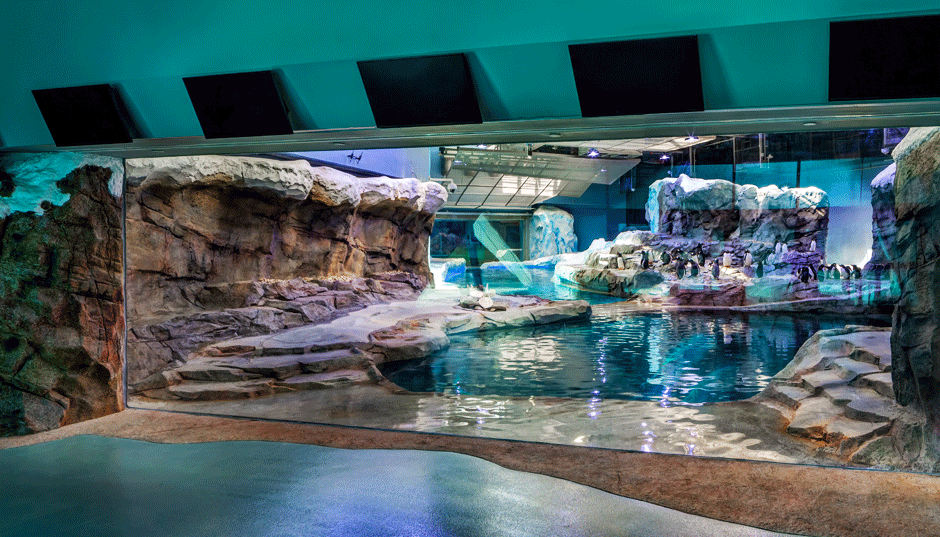 Indoor aquatic exhibit with simulated rocks, water, and penguins, mimicking a natural habitat.