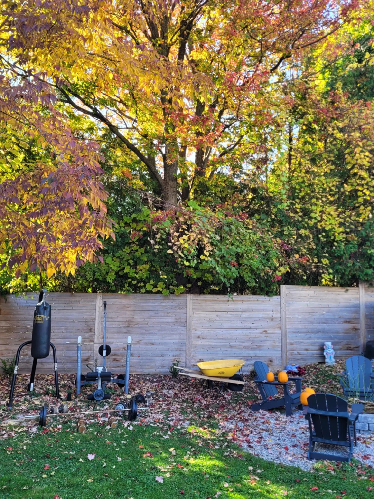 a71334c0-103c-4eb0-ac04-cb1a08713f72.jfif