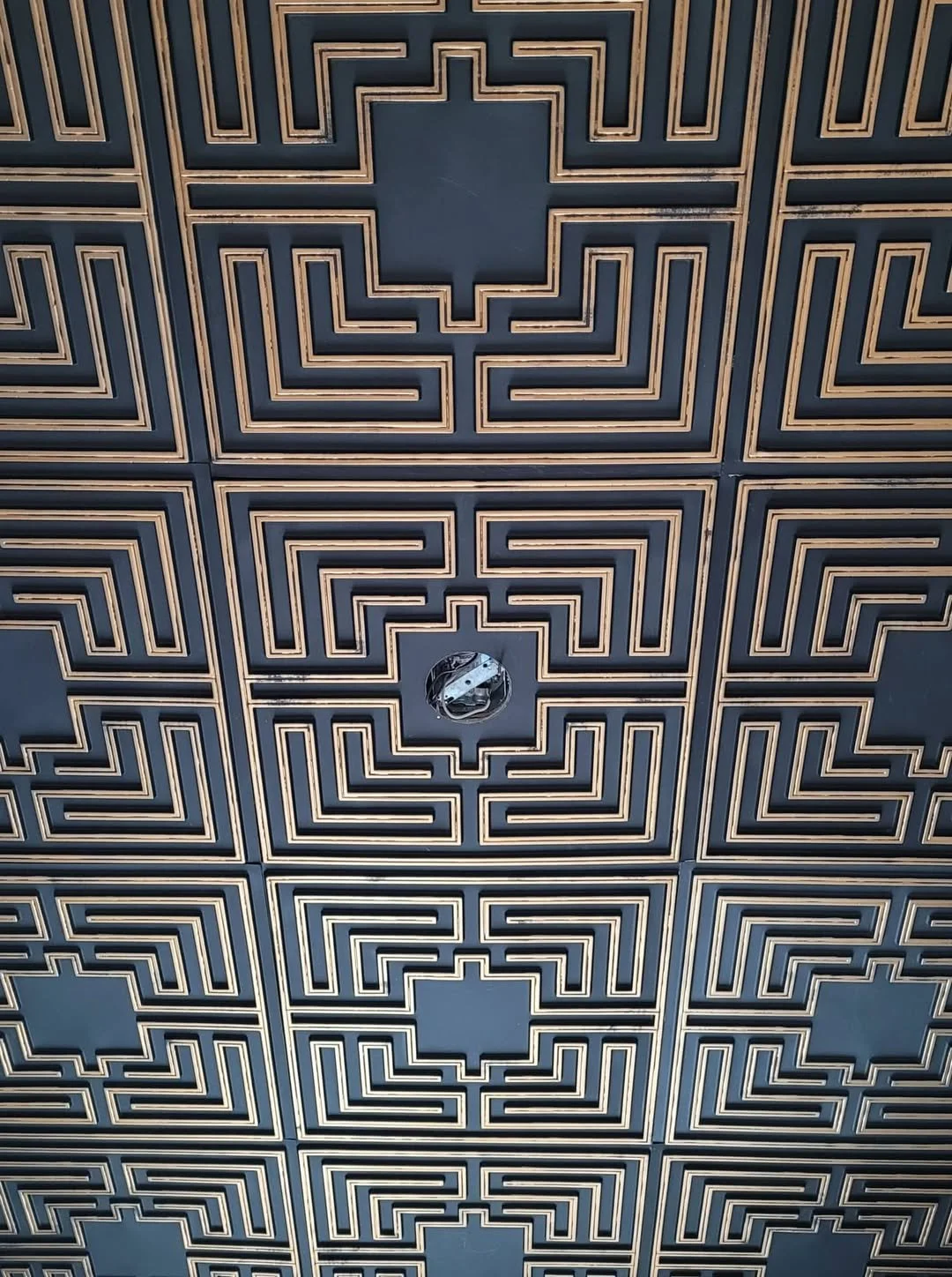 488131082_10163048332334114_4736534021700865529_n (1).jpg