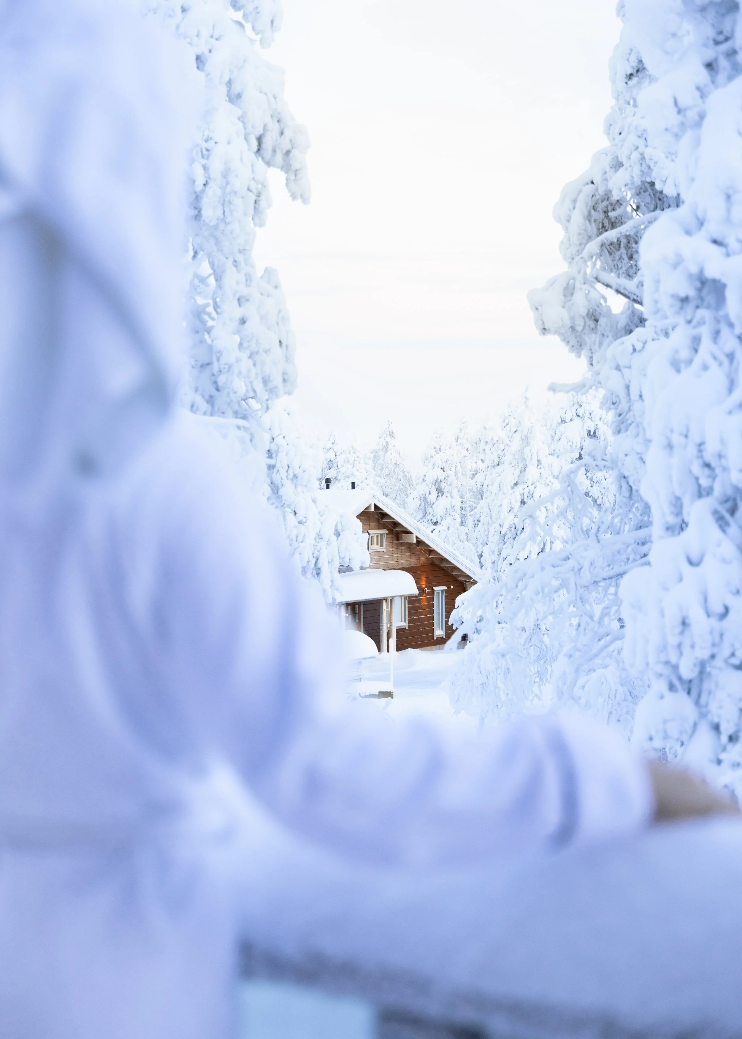 A snowy landscape with a wooden house surrounded by snow-covered trees, visible through a snow-covered opening.