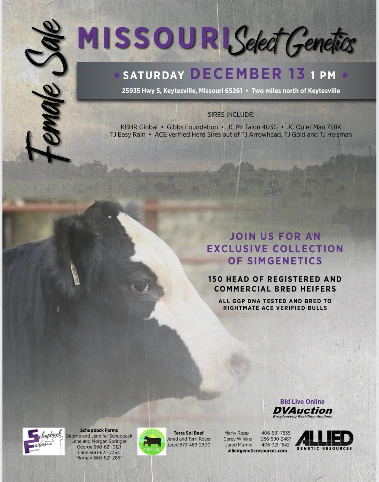 Missouri Select Genetics Female Sale