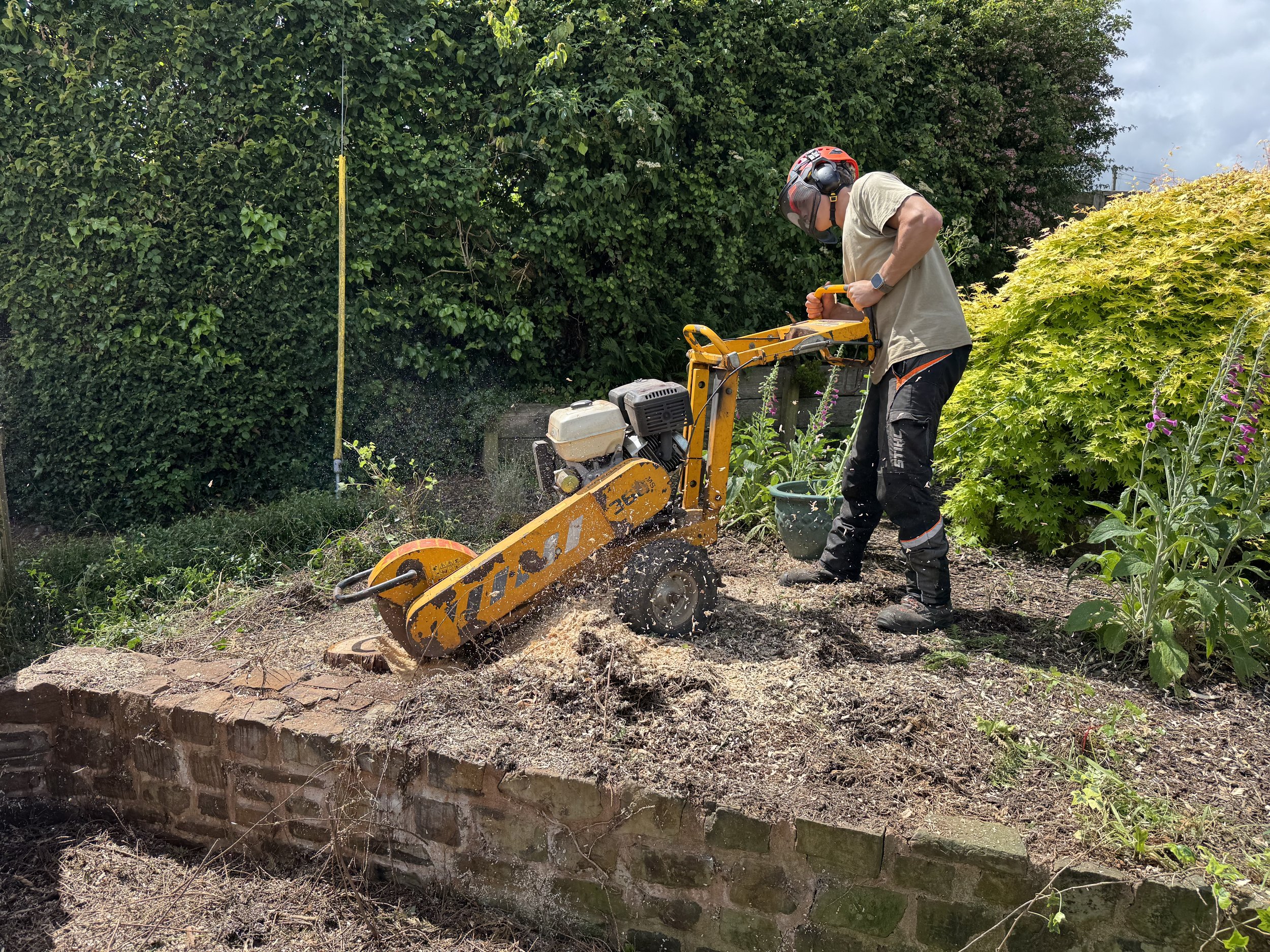 Stump Grinding in Tiverton, Devon