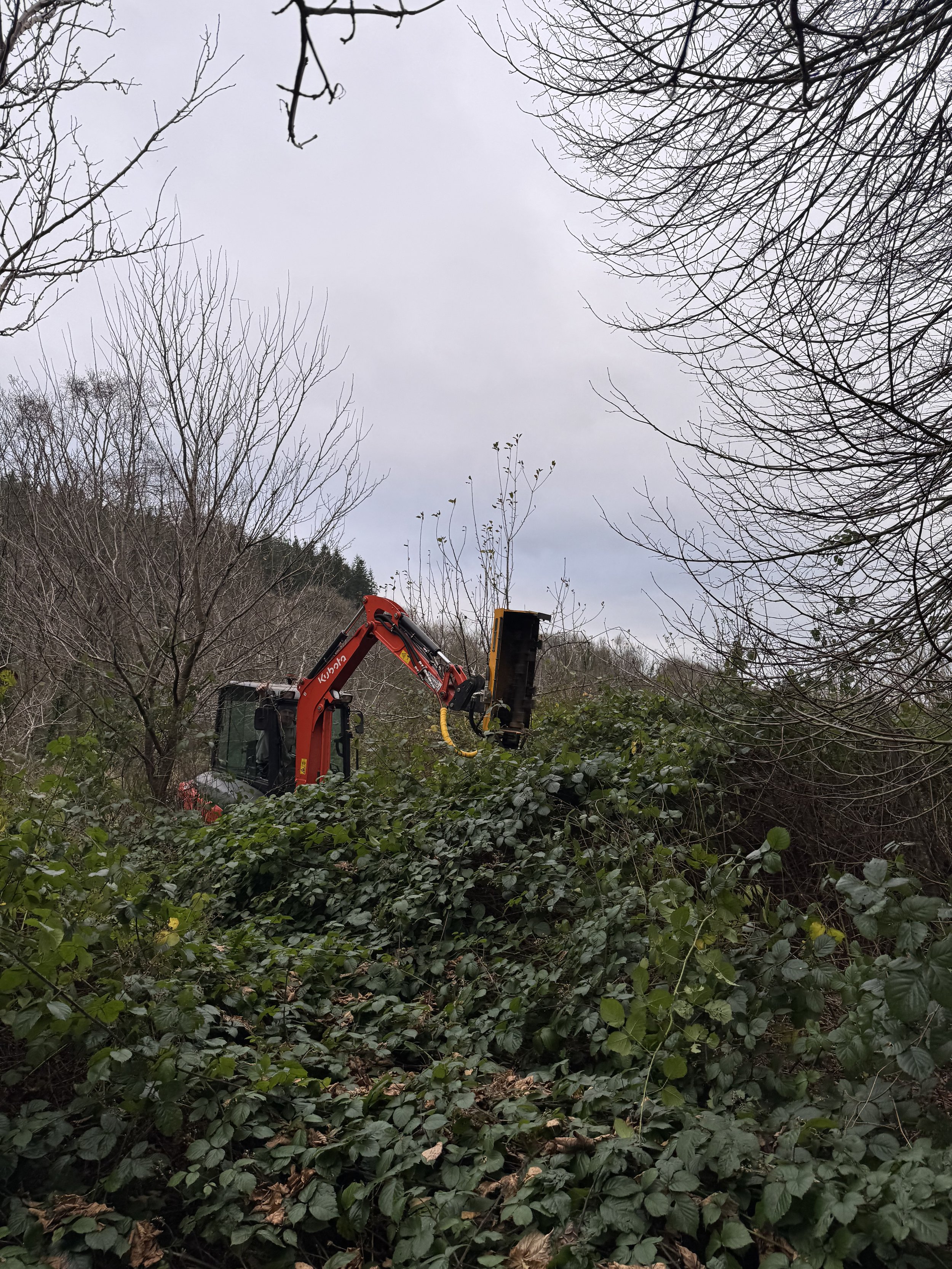 Kubota 2.5 ton digger with flail clearing brush and vegetation in a wooded area on a cloudy day.