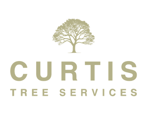 Curtis Tree Services