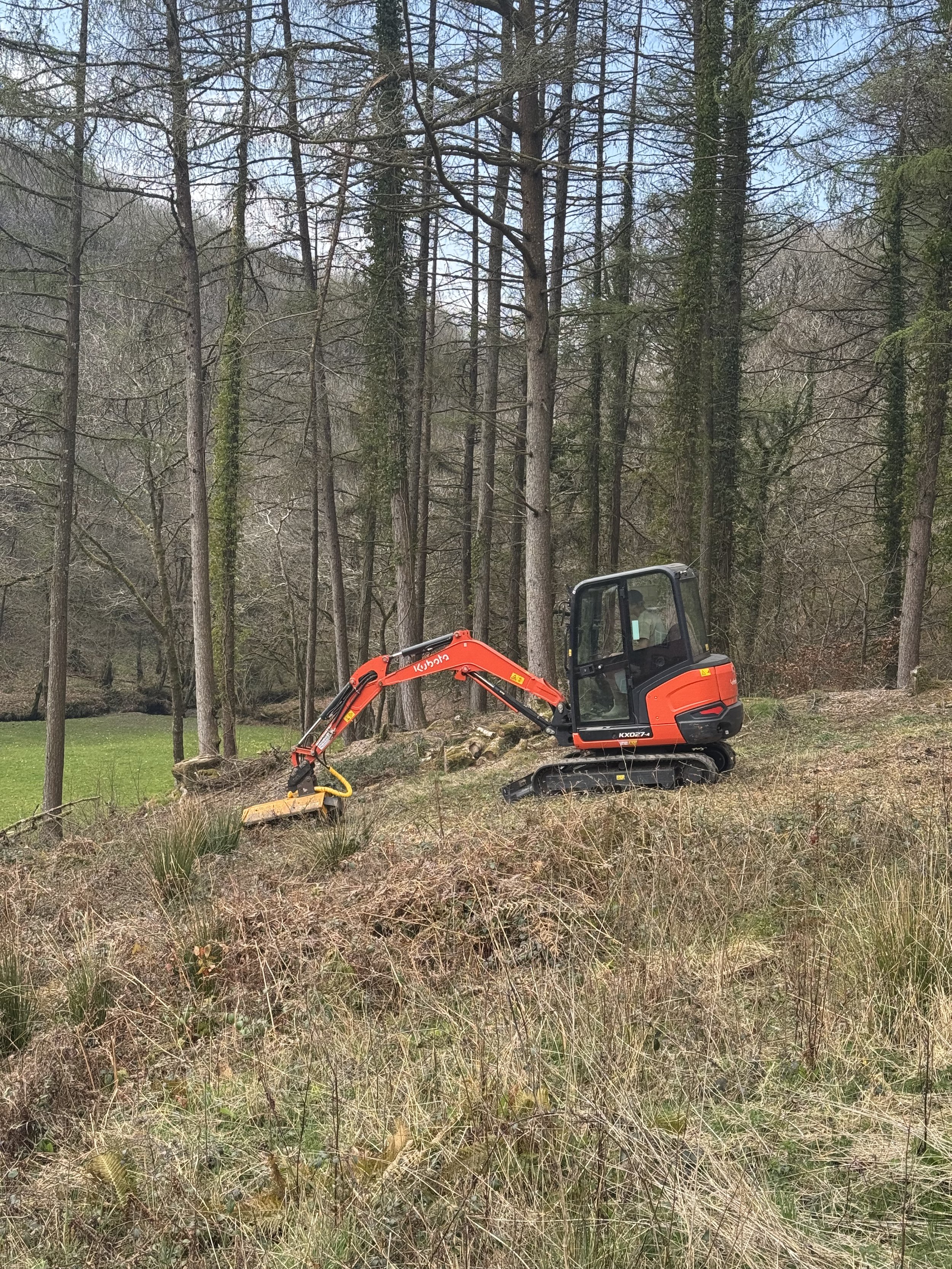 clearing woodland floor with a Kubota 2.5 ton digger and a flail head