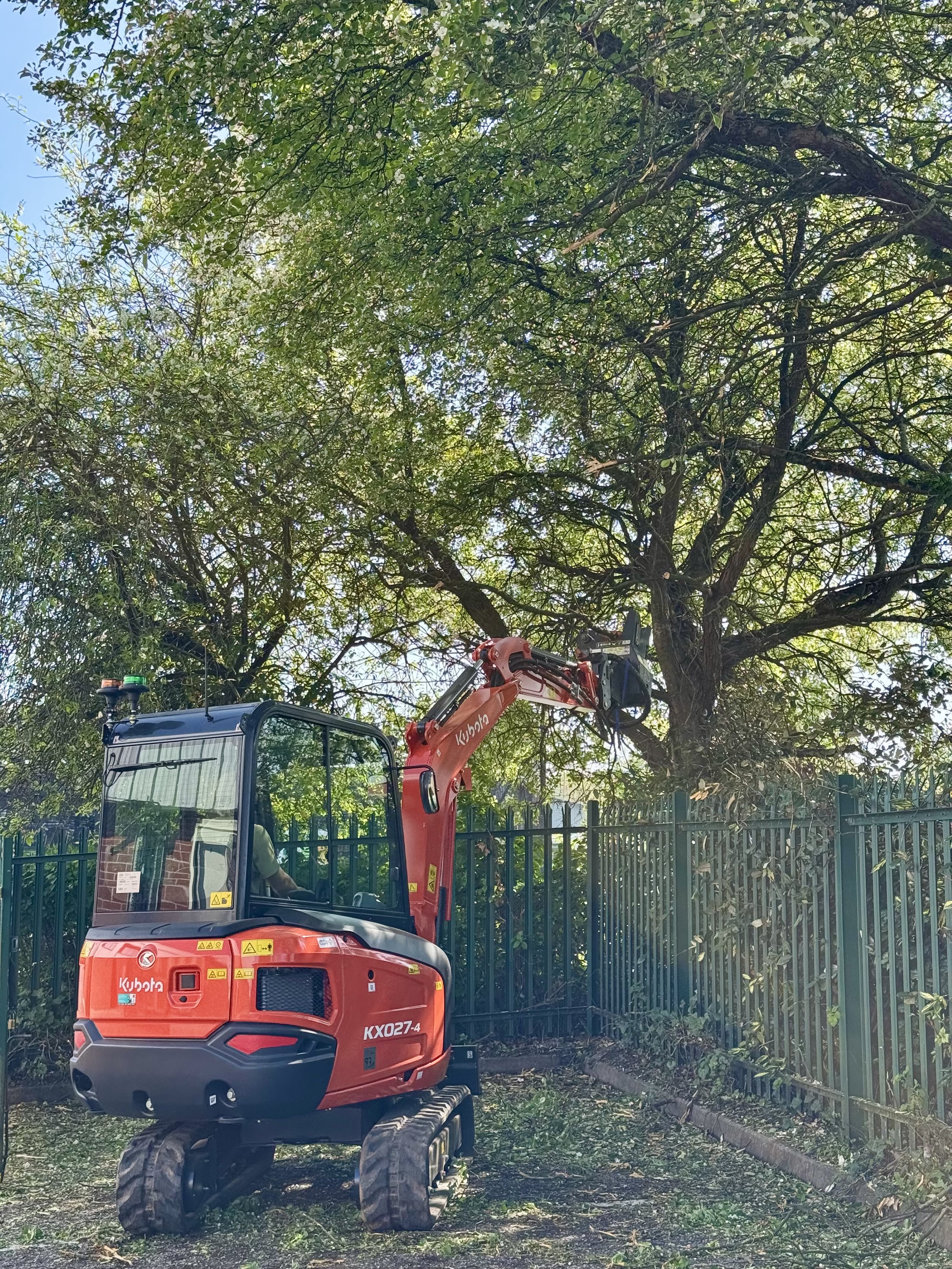 Kubota 2.5 ton digger with tree shears, lopping branches to manage trees around a commercial area