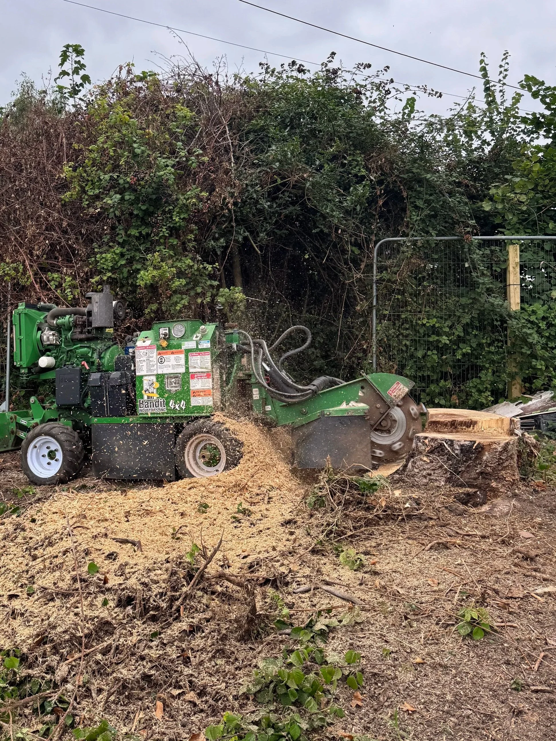 Heavy-Duty Stump Grinder