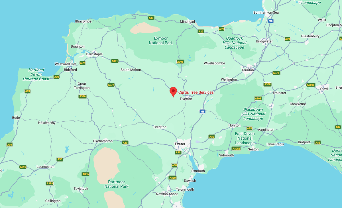 Map of Curtis Tree Services' service area around Tiverton. Opens our Google Maps listing.