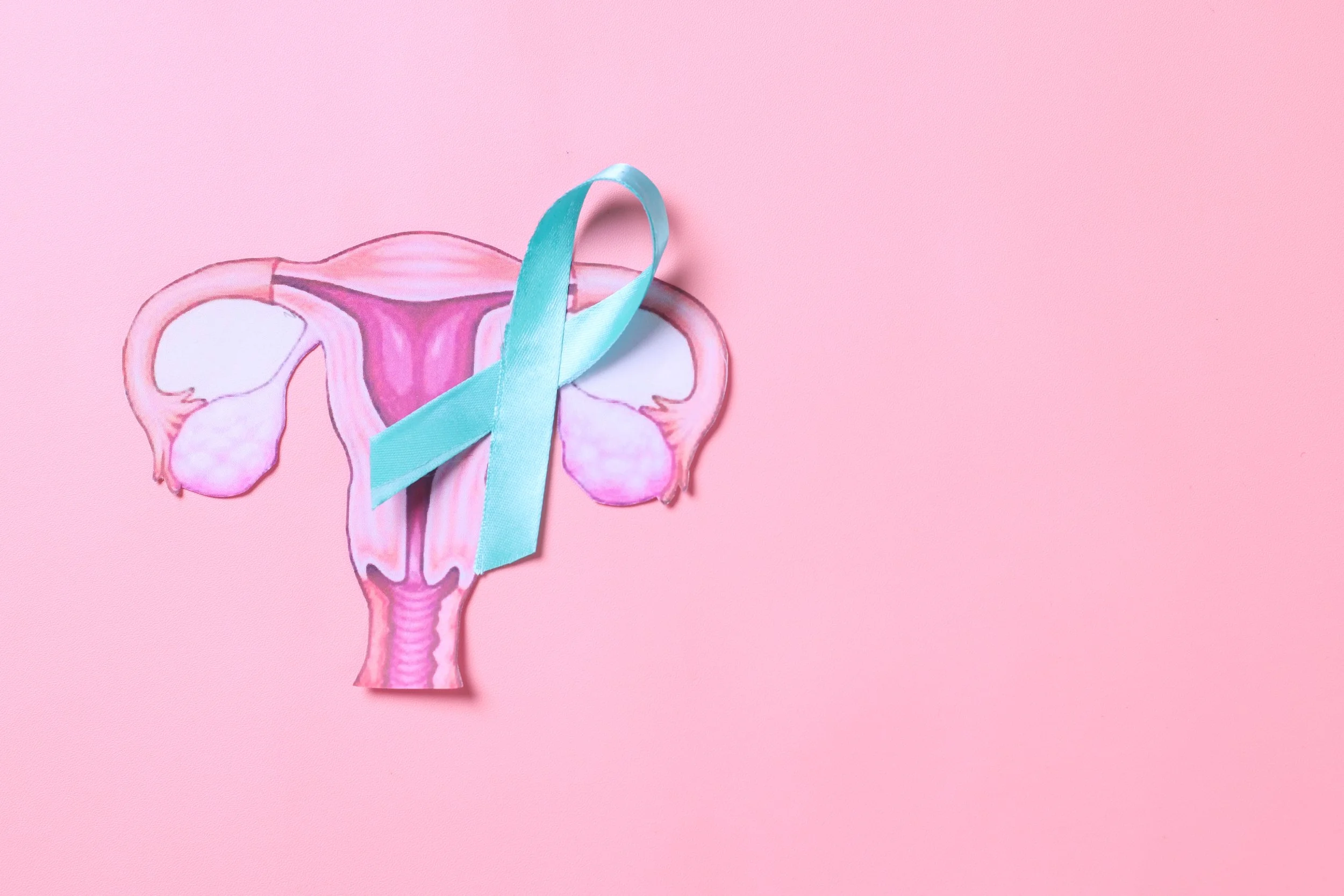 A drawing of the interior female anatomy on a pink background with a cyan ribbon above the drawing.