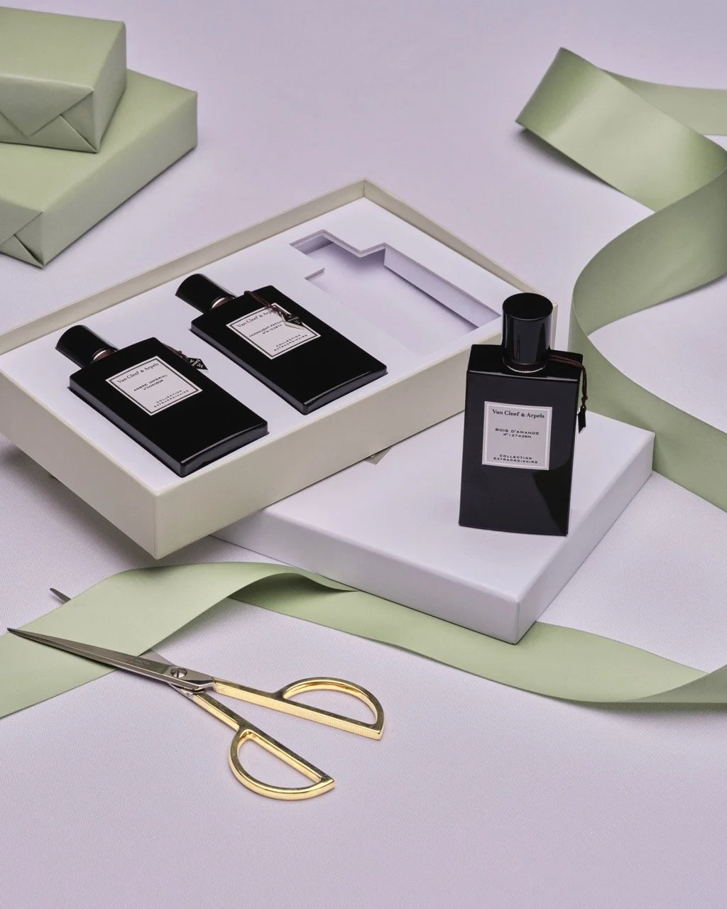 Tryano29867 Large.jpeg