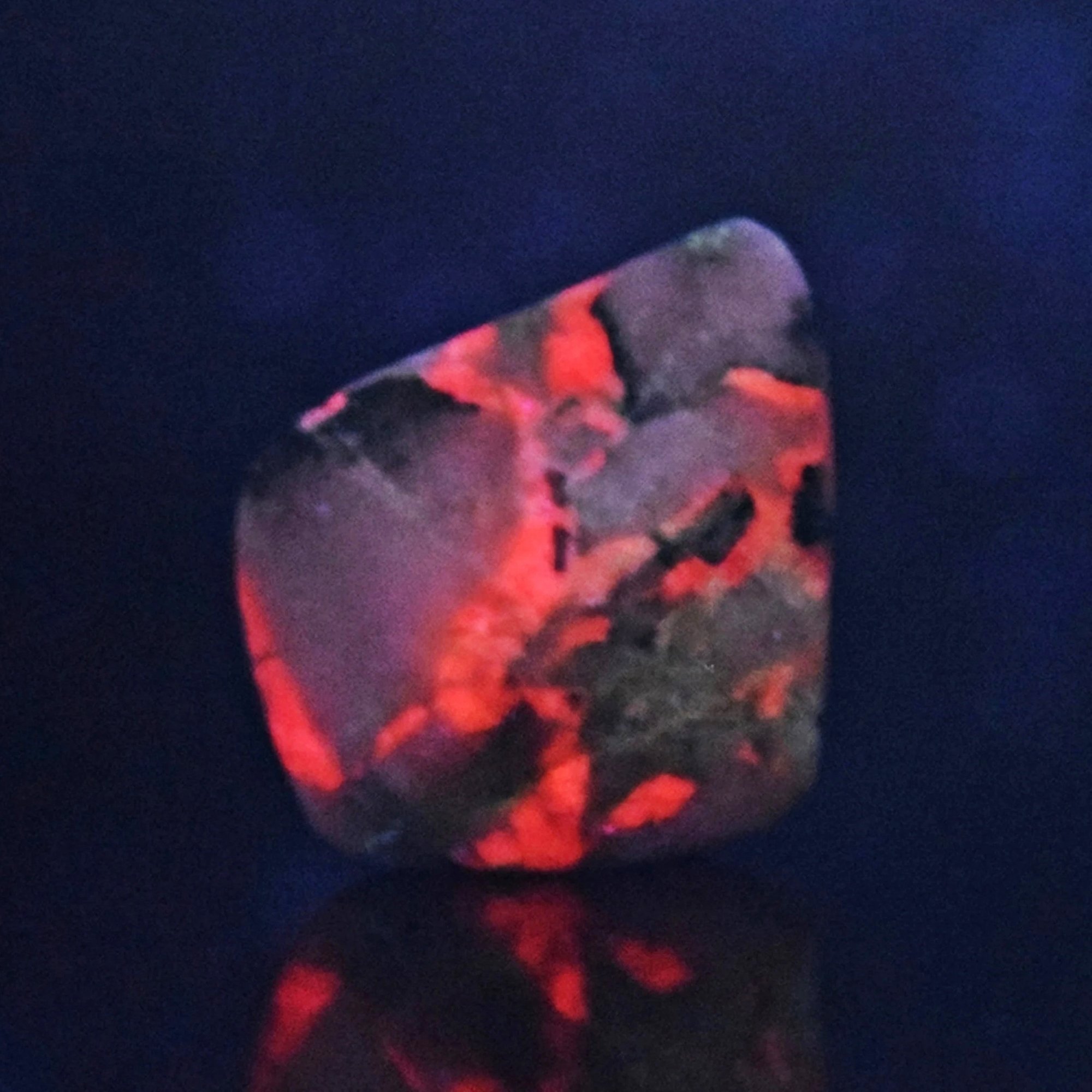 DSC_0046a.jpg