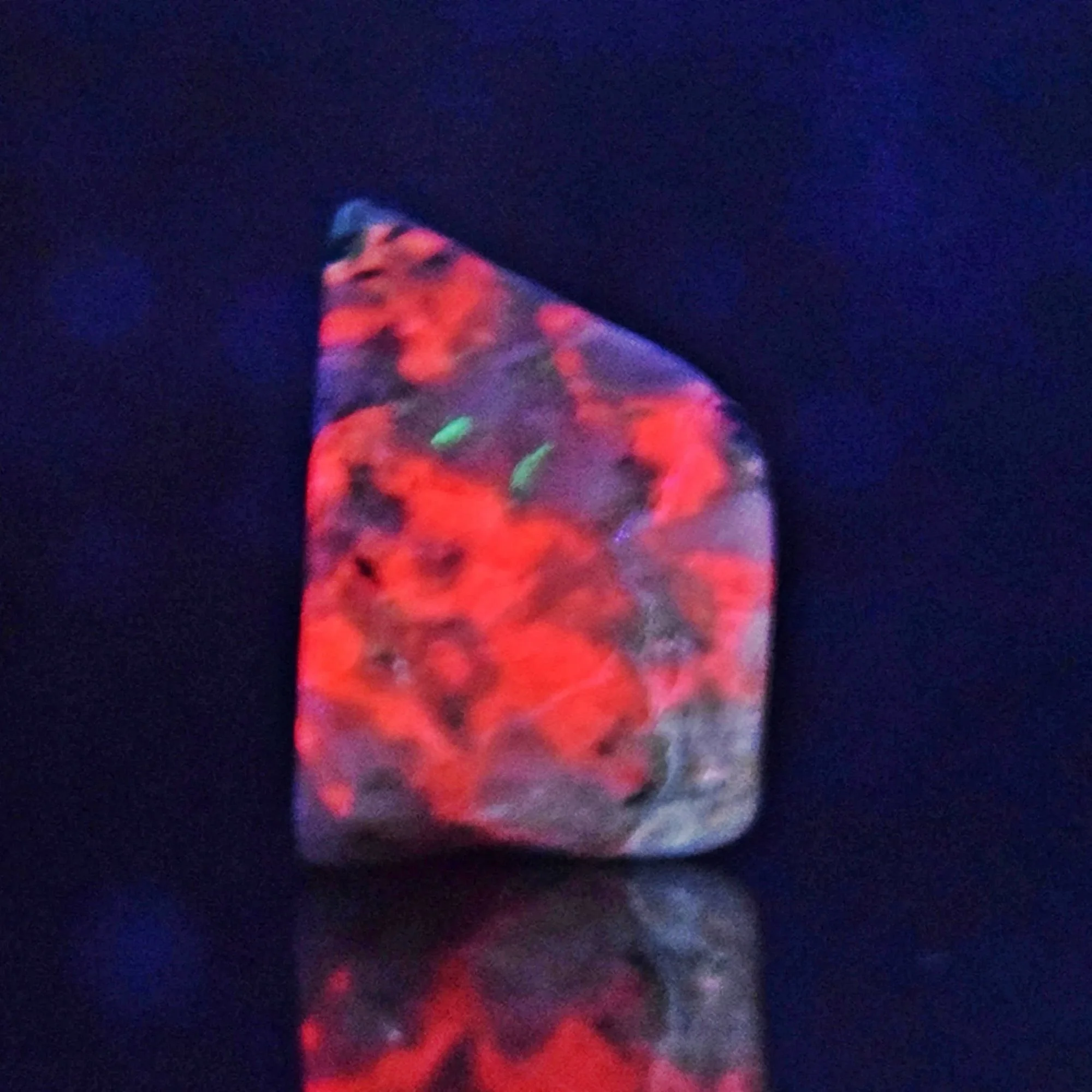 DSC_0047a.jpg