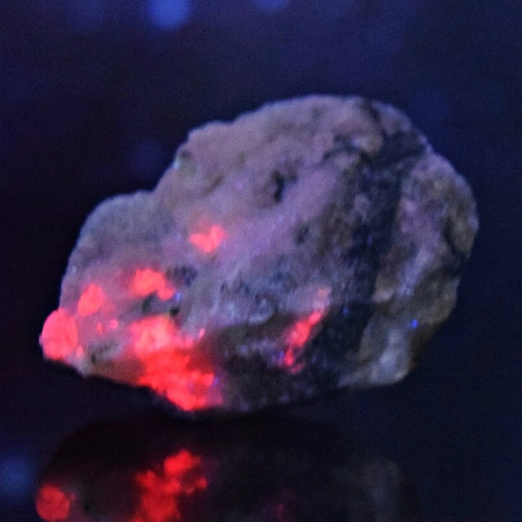 DSC_0011a.jpg