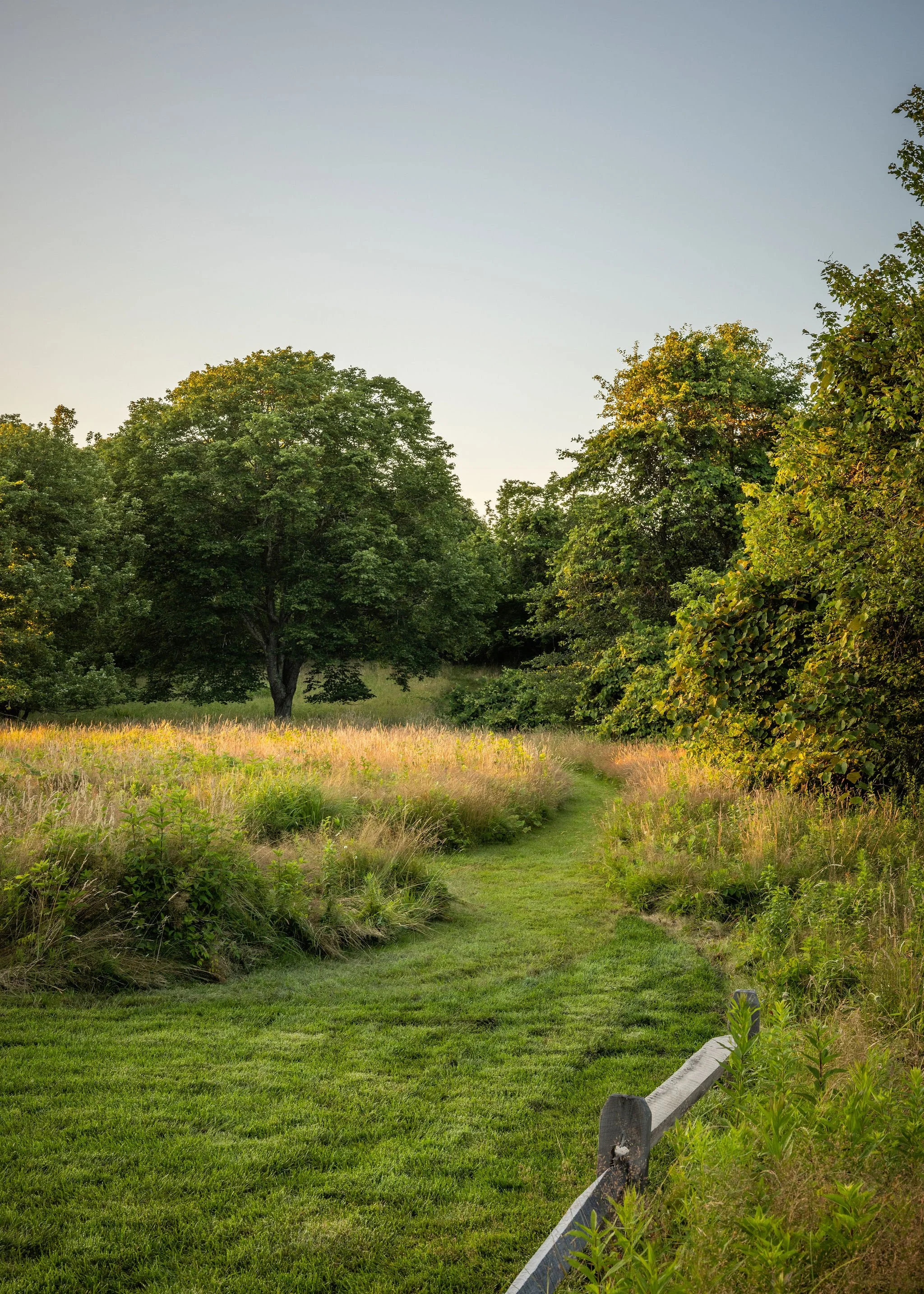 Meadow: Chilmark MV Landscaping & Masonry by Landscope Inc