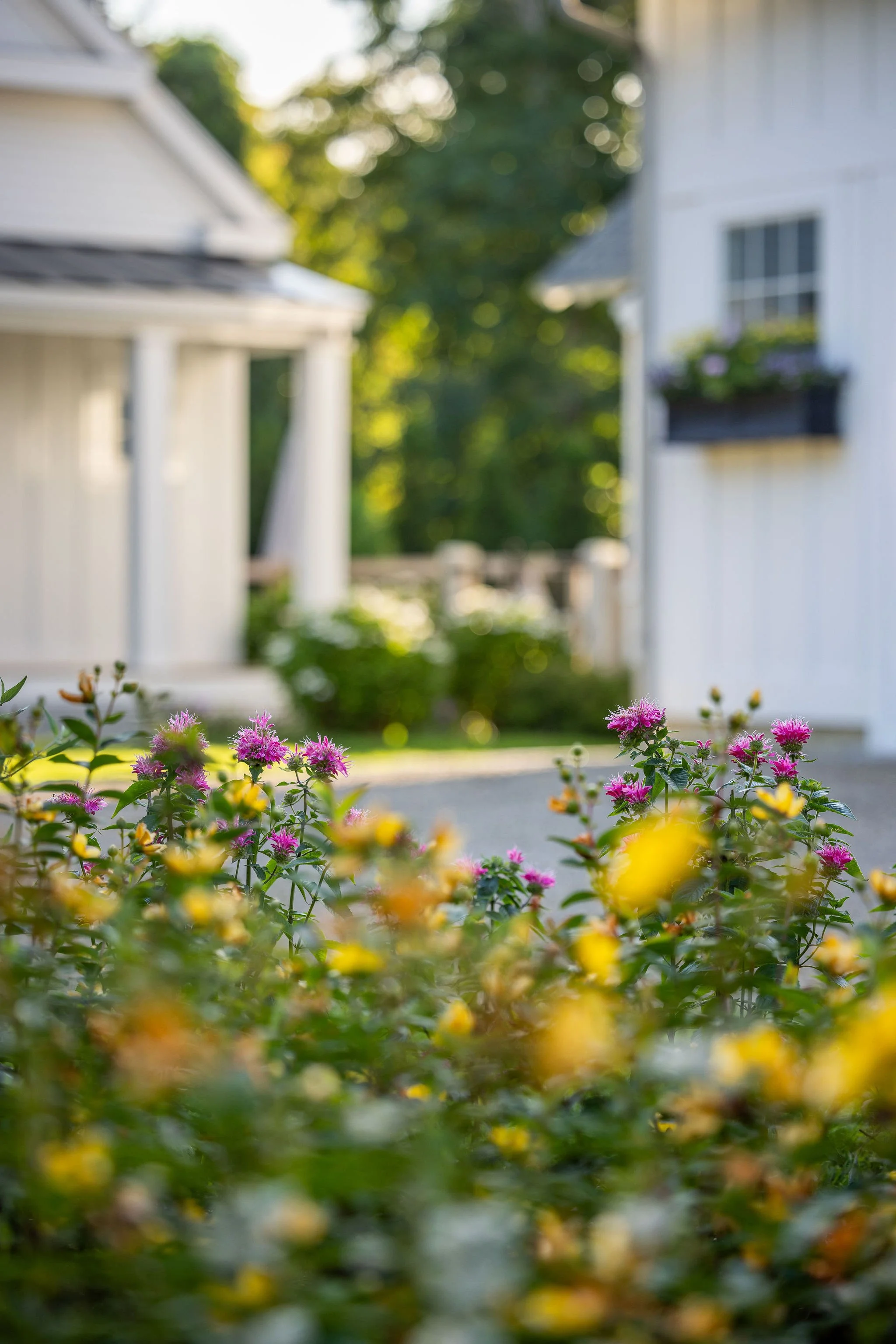 Horticulture: Edgartown MV Landscape & Masonry by Landscope Inc