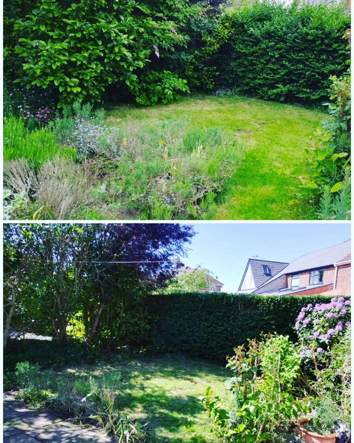 Garden maintenance &hellip;&hellip; #garden #gardenmaintenance