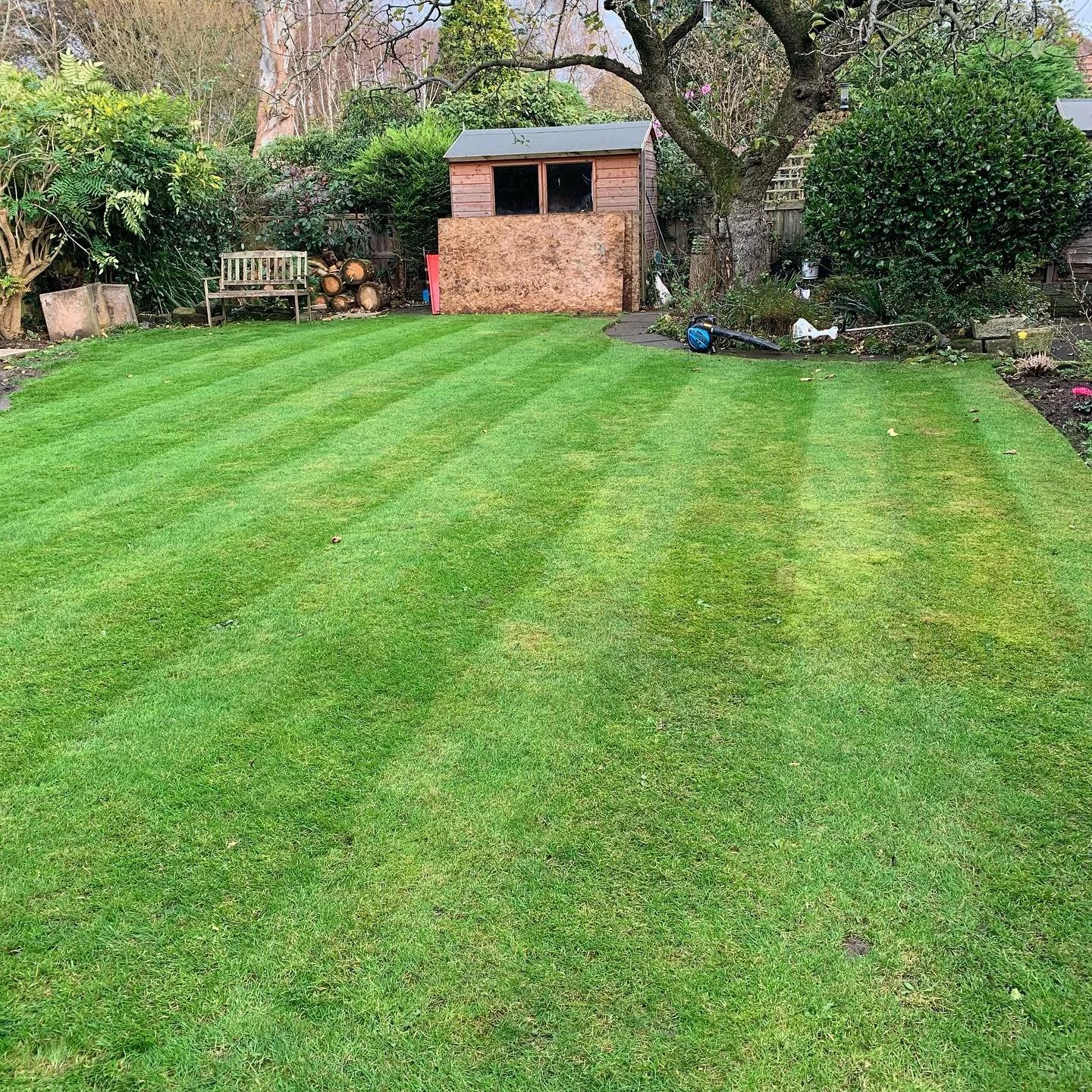 Winter cut for one of our regulars #localbusiness  #gardenmagic #gardenlife #hayter56pro