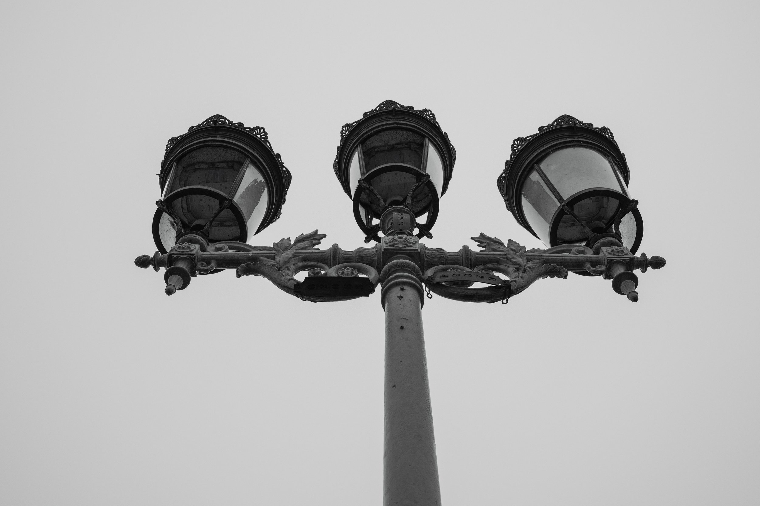 DSCF0899.jpg