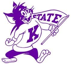 Willie the Wildcat.jpg