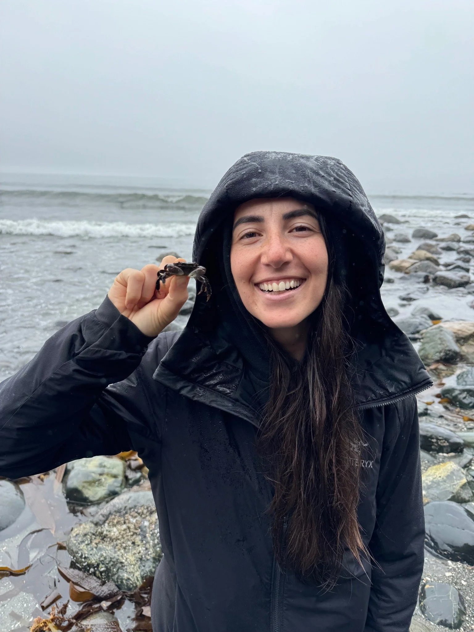 A smiling woman wearing a black raincoat with the hood up, holding a small crab, standing on a rocky shoreline with waves and an overcast sky in the background.