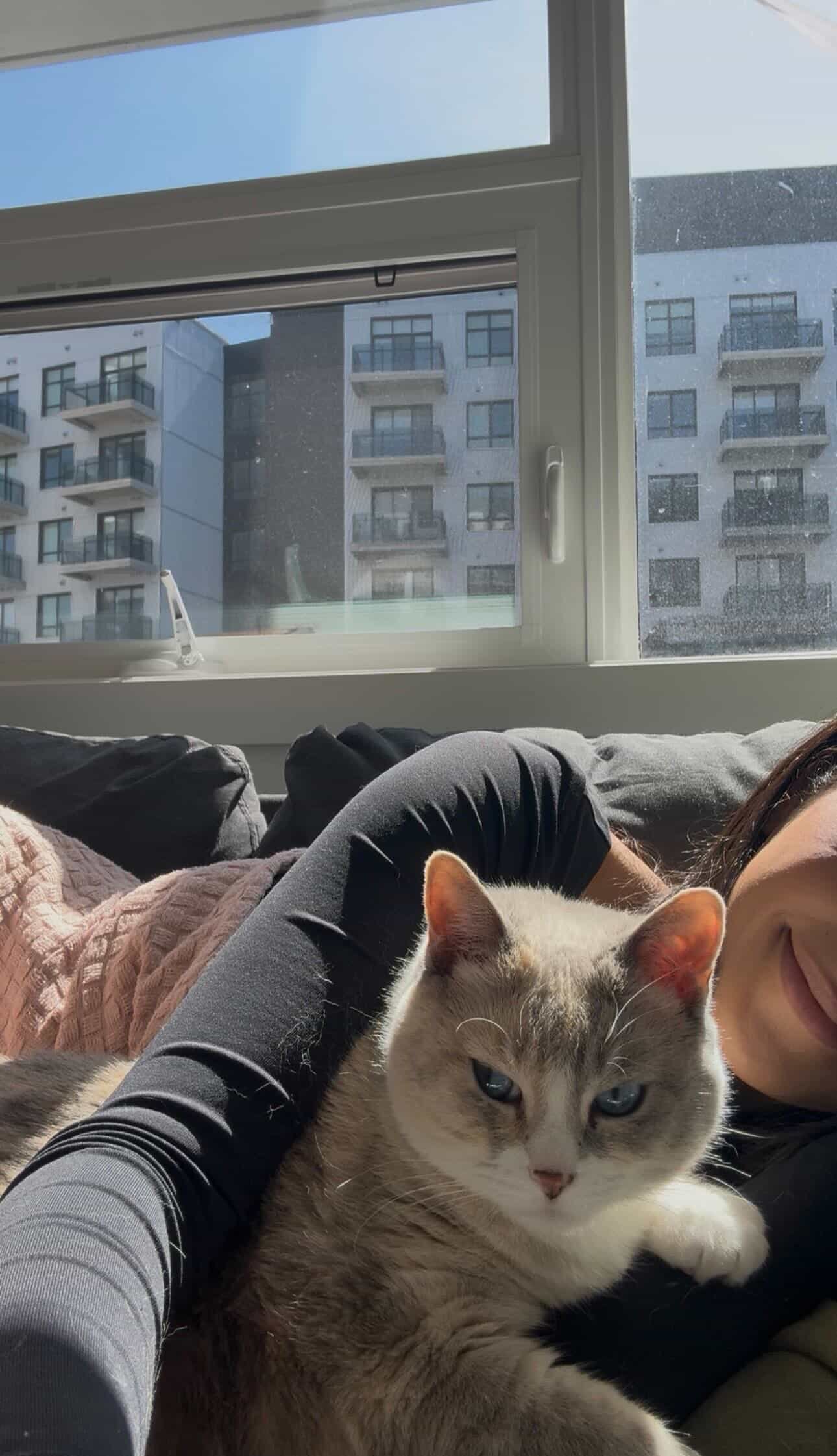 Person lying on a couch with a cat, window with buildings outside in the background.