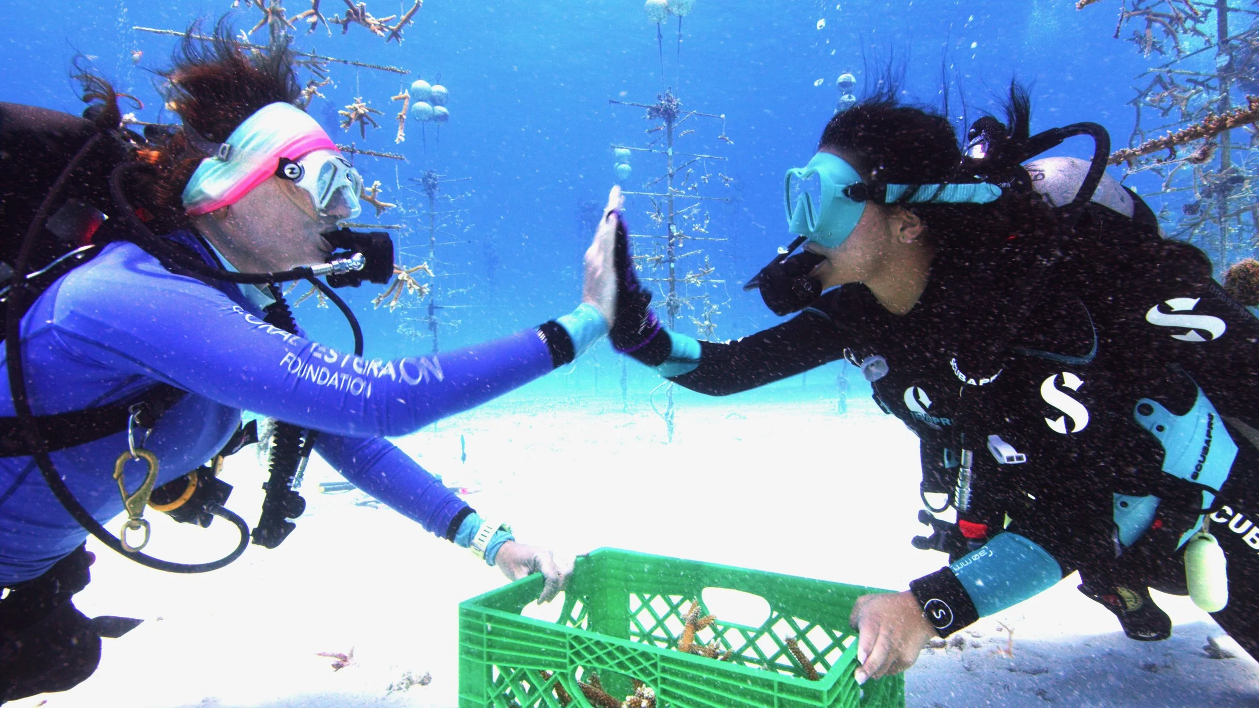 Maddy Roxanne Nursery Hi5 (1).JPEG