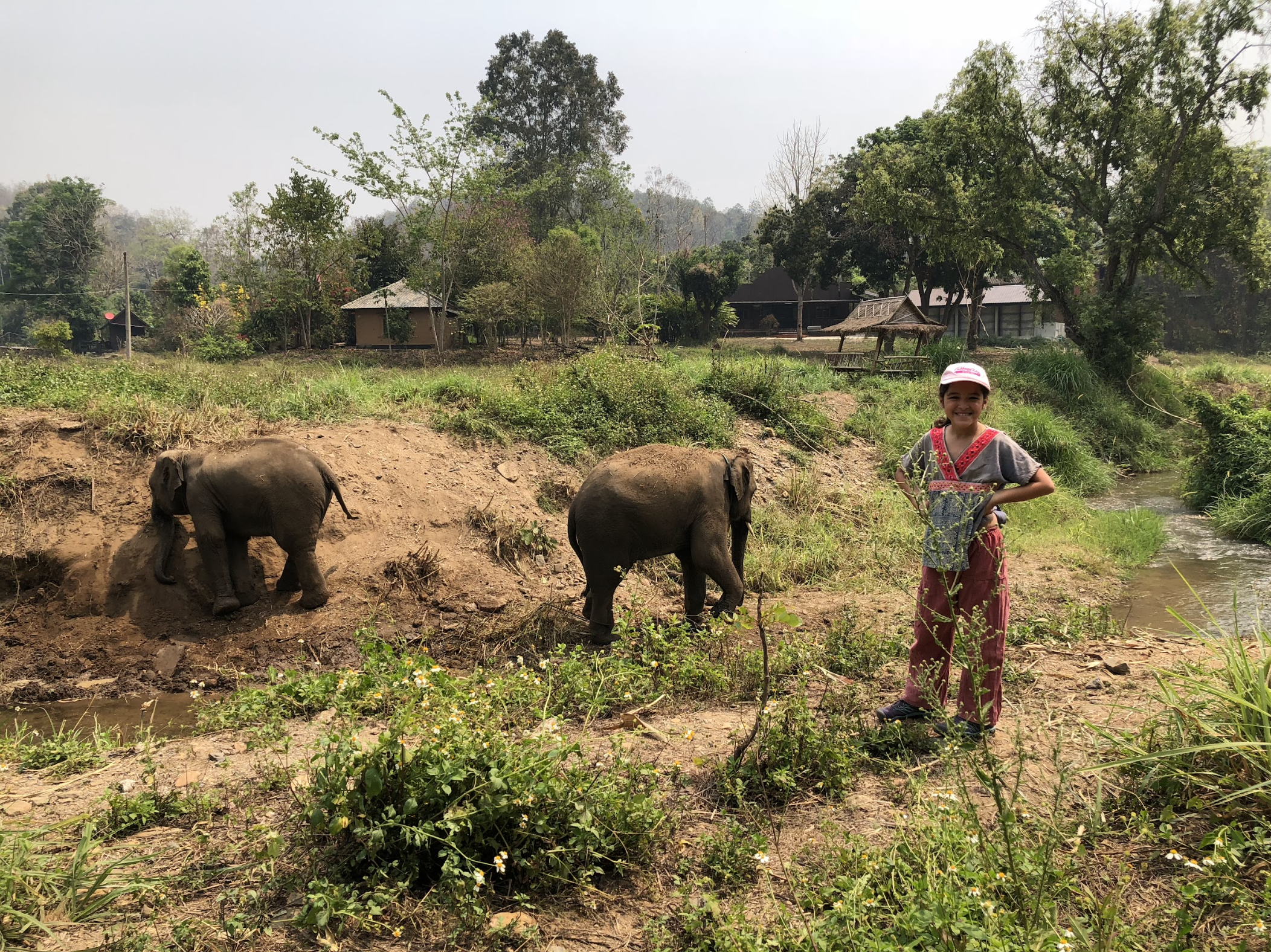 Screenshot 2025-07-31 at 1.08.36 PM.png