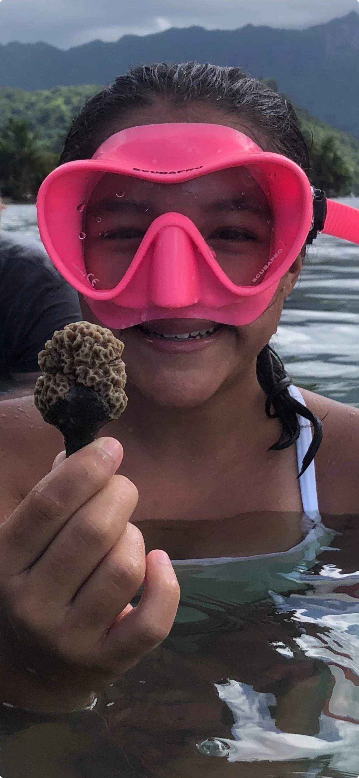 Planting Coral in Moorea.jpeg