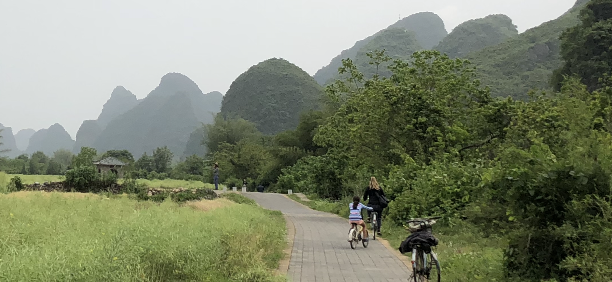 Use Eco Friendly Transportation (1).PNG