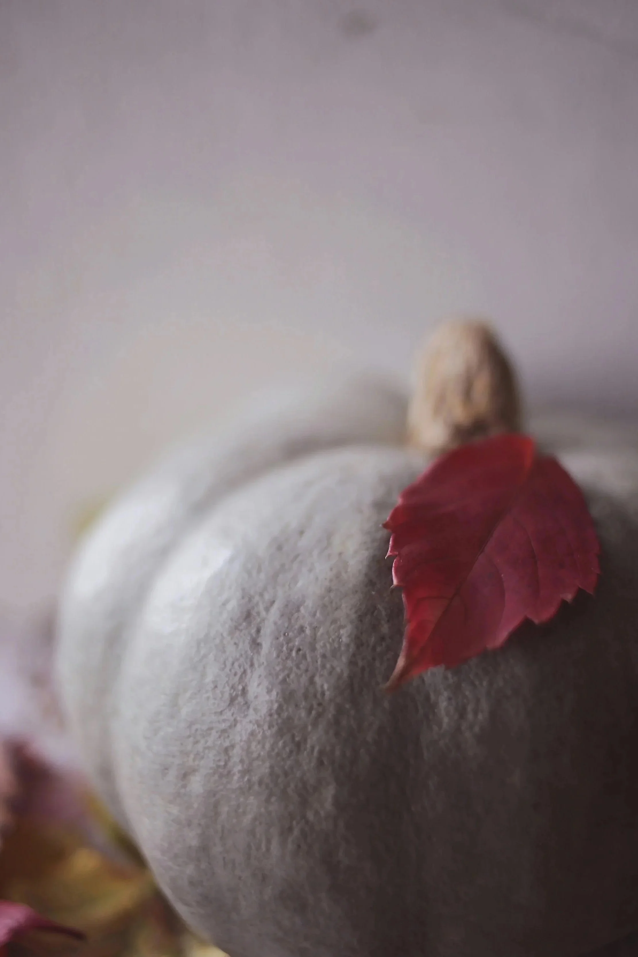 L’Energie des Saisons - AUTOMNE