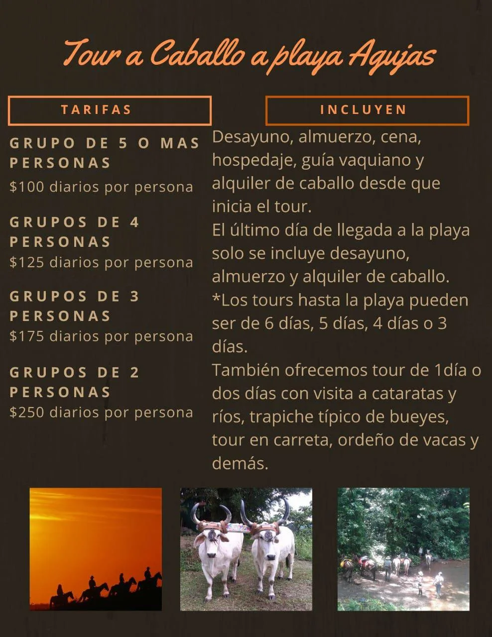 Valo cabalgatrek-1.jpg