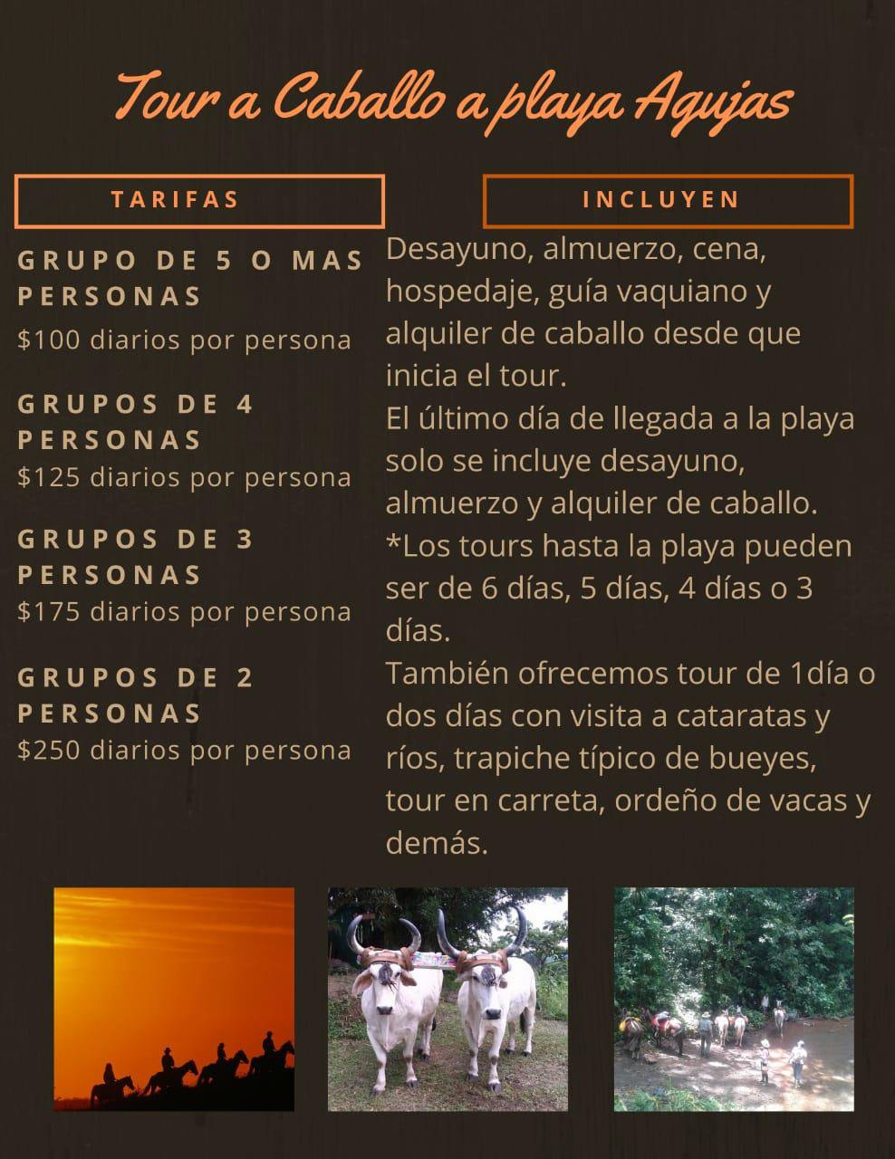 Valo cabalgatrek-1.jpg