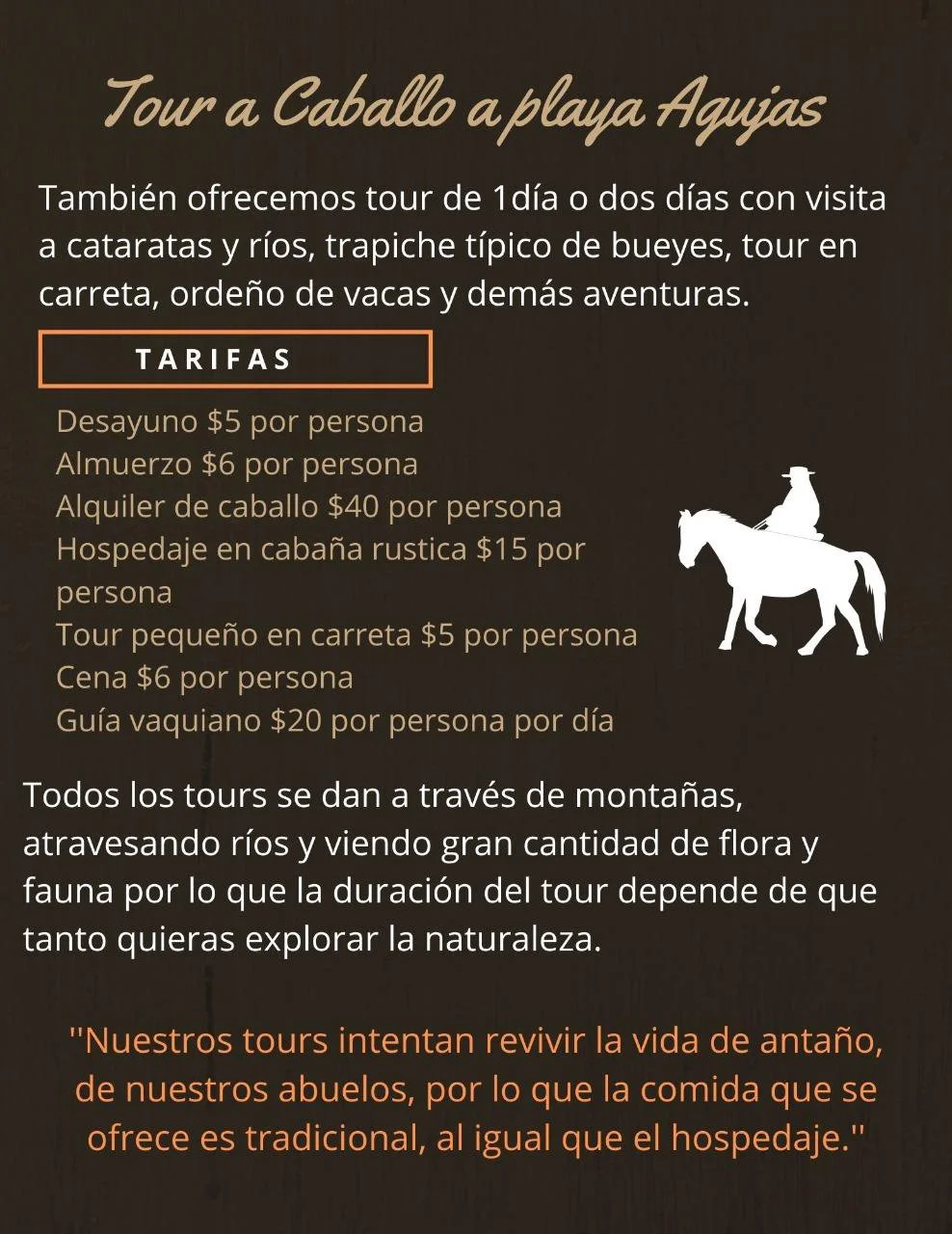 Valo cabalgatrek-2.jpg