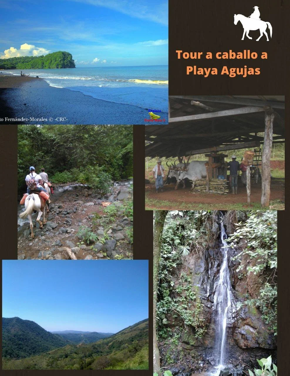 Valo cabalgatrek-3.jpg