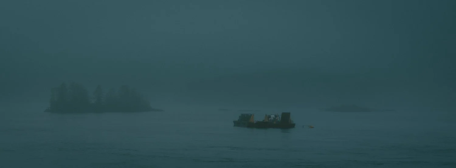 MT-1.jpg