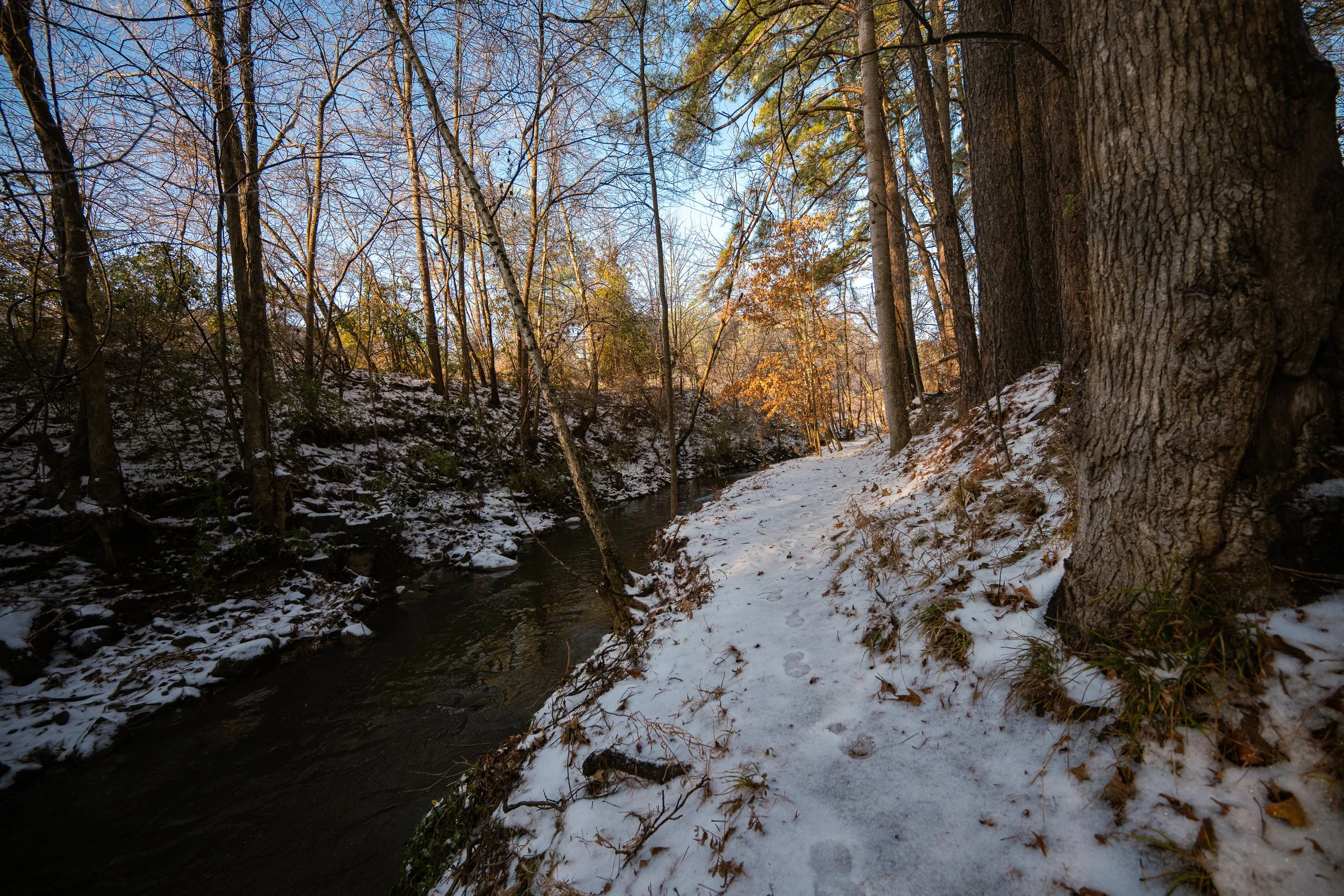 Our Work — Ellerbee Creek Watershed Association