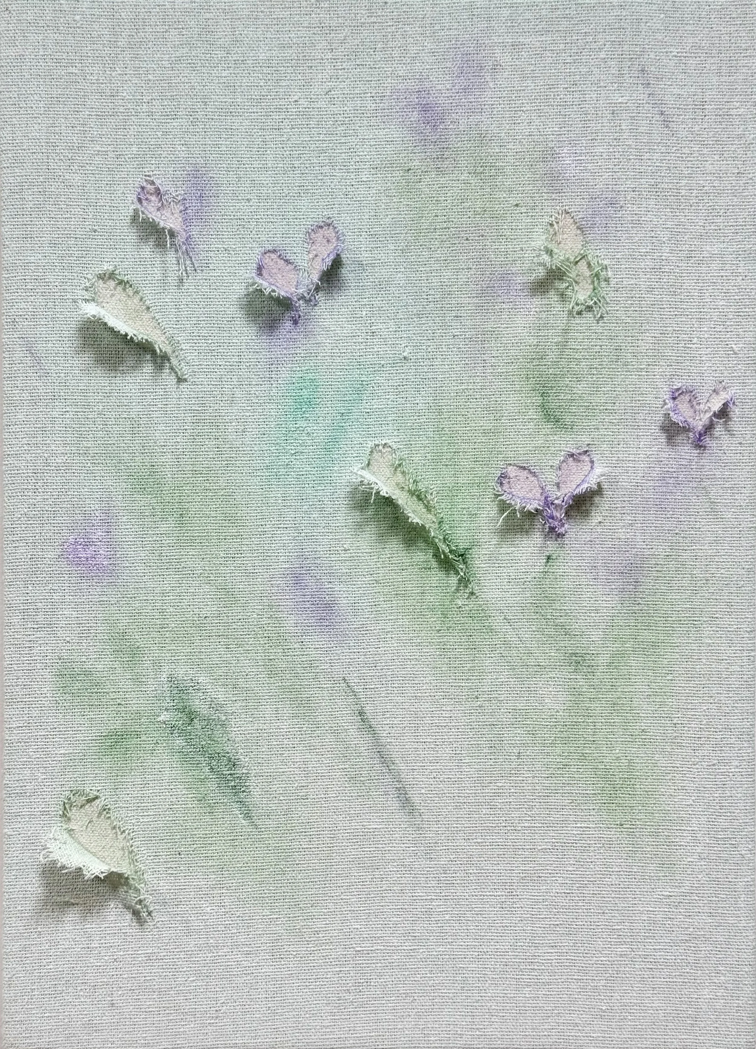 Fujimoto Atsuki