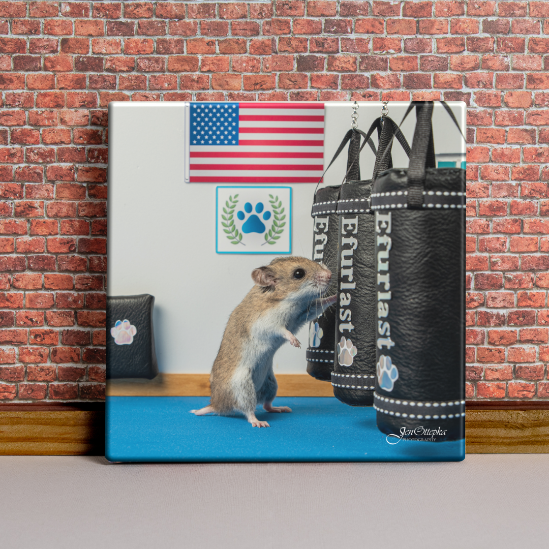 Training for the KO